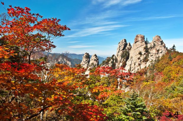 Du lịch Hàn Quốc tháng nào đẹp nhất - Hoạt động du lịch 2022