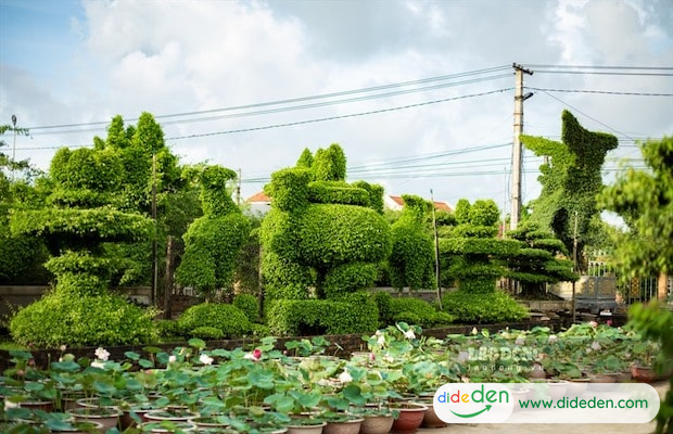 Things to do in Nam Dinh-Vi Khe Bonsai Village