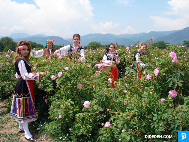 dich vu lam visa di bulgaria