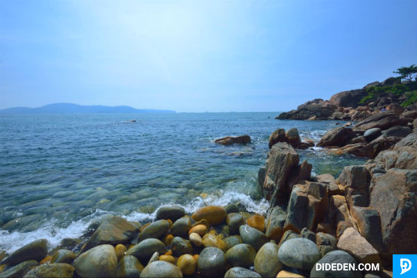 du lich binh dinh 