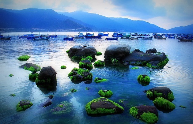 Tour du lịch miền Trung: Bình Hưng – Ninh Chữ (3N2Đ)