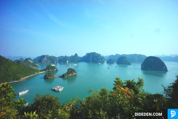 du lich hai phong
