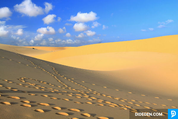 du lich phan thiet
