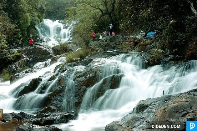 tour du lich da lat dip le 2/9