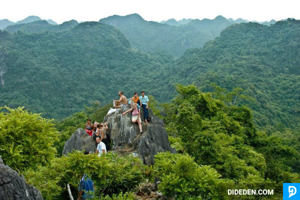 Tour du lich Ha Long Cat Ba Ha Noi