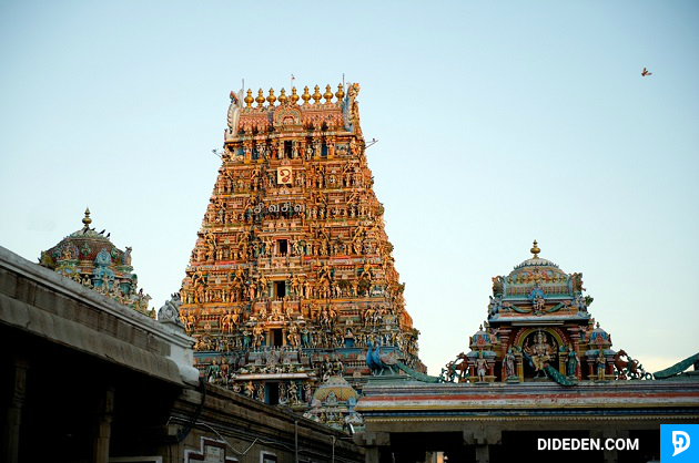 ve may bay di chennai gia re