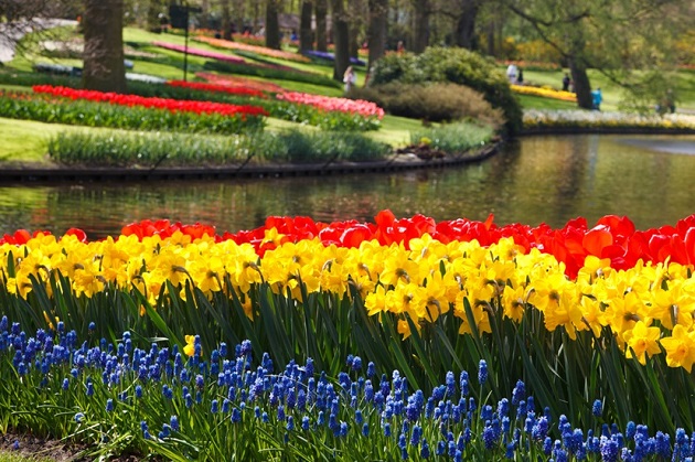 Vé máy bay đi Amsterdam