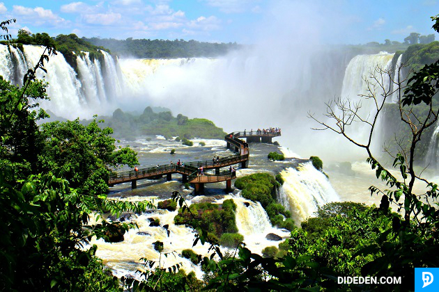 mua ve may bay di brazil