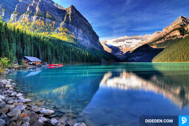 ve may bay di canada gia re