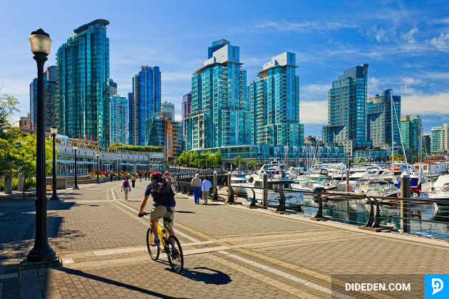ve may bay gia re di canada