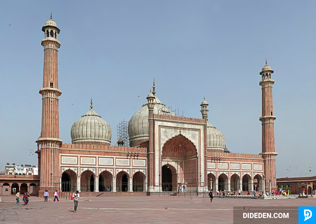 ve may bay di delhi gia re