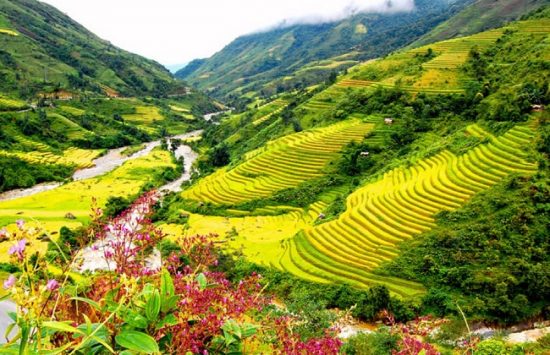 Vé máy bay giá tốt đi Điện Biên Phủ