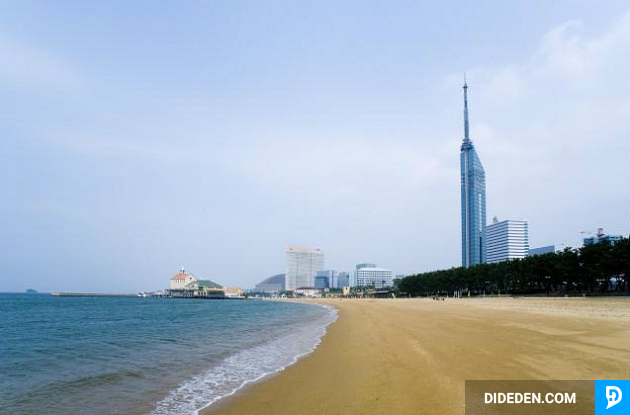 ve may bay gia re di fukuoka