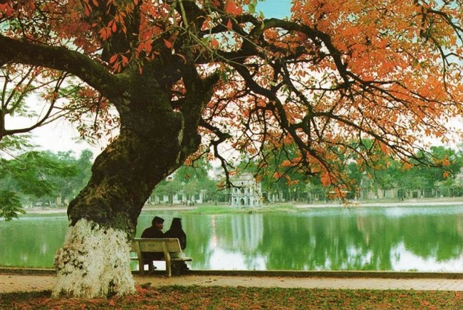 Vé máy bay đi Hà Nội