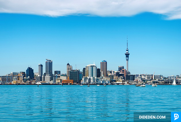 ve may bay di new zealand gia re