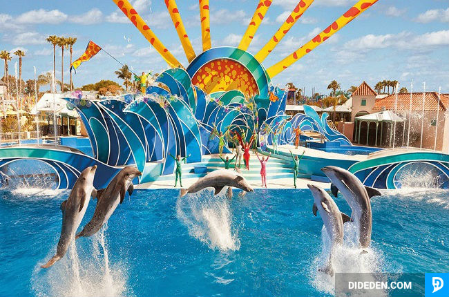 ve may bay di orlando