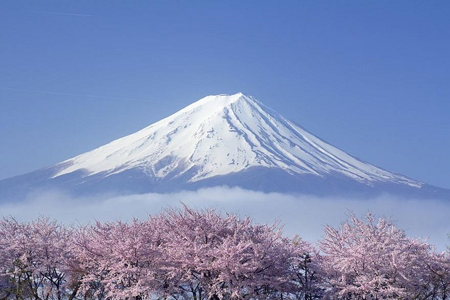 Vé máy bay đi Tokyo
