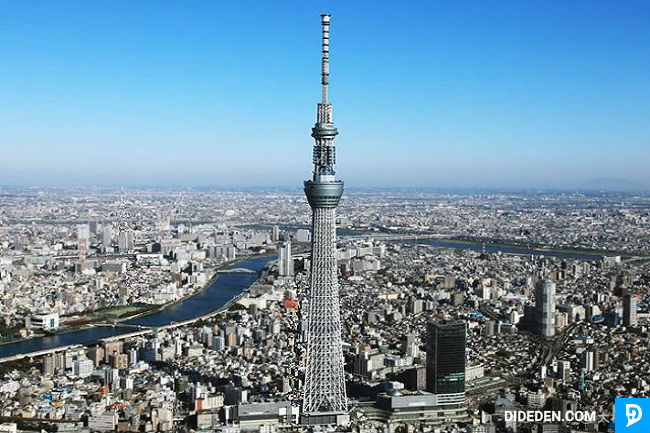ve may bya di tokyo