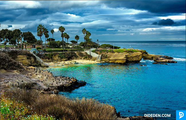 mua ve may bay gia re di san diego