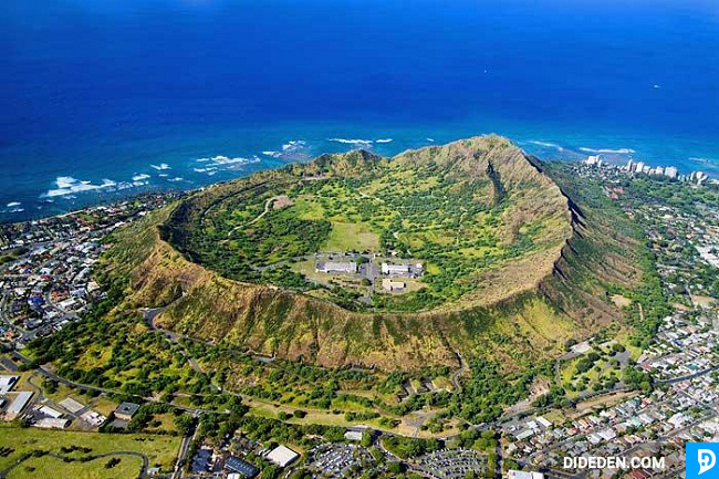 dat ve may bay honolulu