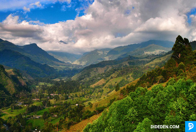 dich vu lam visa di colombia
