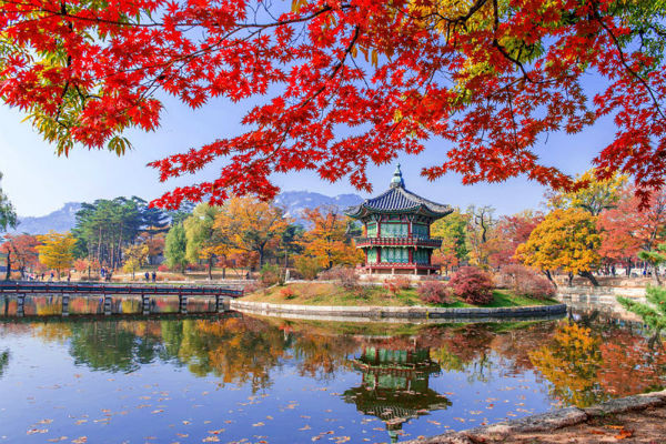 Tour du lịch chiêm ngưỡng mùa thu Hàn Quốc 4N3Đ cực rẻ