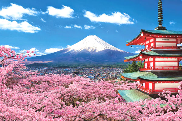 Tour Nhật Bản: Khám phá con đường lá đỏ Tokyo – Yamanashi – Shizuoka – Kanagawa 4N3Đ