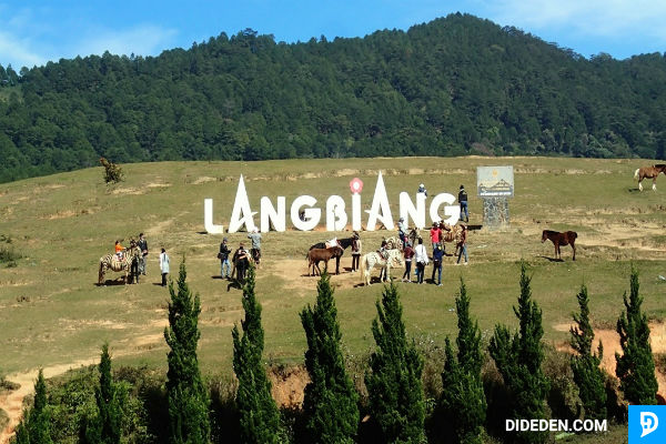 tour du lich nha trang da lat 