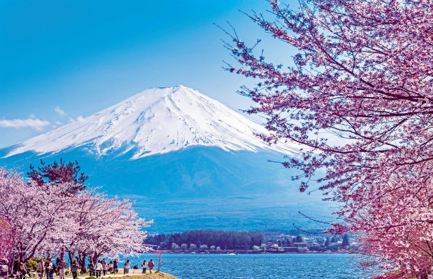Tour Nhật Bản: Narita – Tokyo – Ibaraki – Phú Sĩ – Công viên Hitachi 4N3Đ siêu rẻ