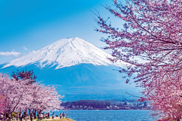 Tour du lịch khám phá Osaka – Nagoya – Kyoto – Kobe – Tokyo 6N5Đ siêu rẻ