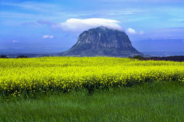 Vé máy bay từ Đà Nẵng đi Jeju