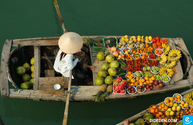 du lich tu ha noi di can tho bang ve may bay gia re