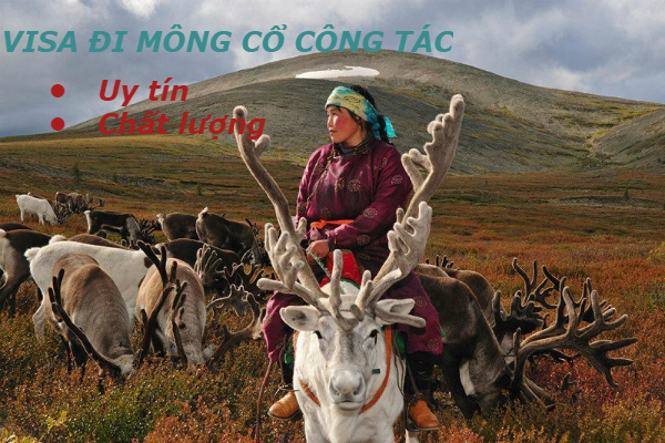 Visa đi Mông Cổ công tác