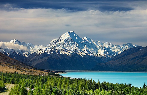 Visa đi New Zealand công tác