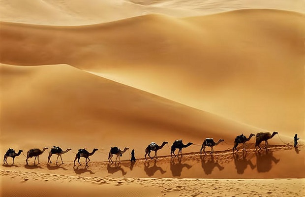 Visa đi Oman du lịch