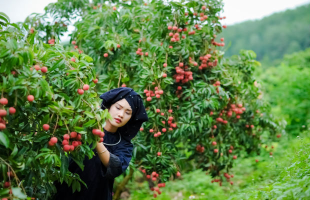 Cẩm nang du lịch Bắc Giang khái quát nhất cho người mới đi