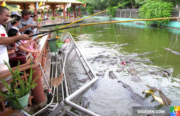Kinh nghiem du lich ben tre gia re