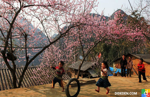 Du lịch Hà Giang