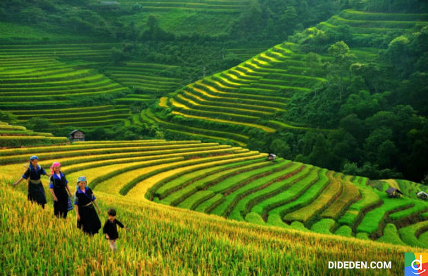 Du lịch Lào Cai