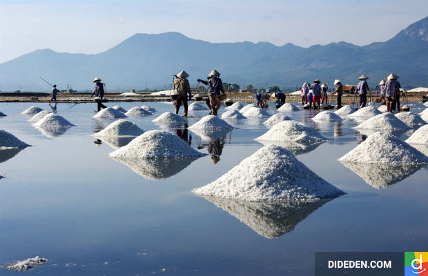 Du lịch Quảng Ngãi từ a đến z