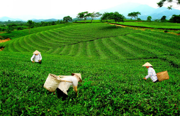 Du lịch Thái Nguyên: Khám phá vùng đất 