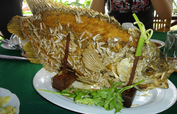 Kinh nghiệm du lịch Vĩnh Long tiết kiệm