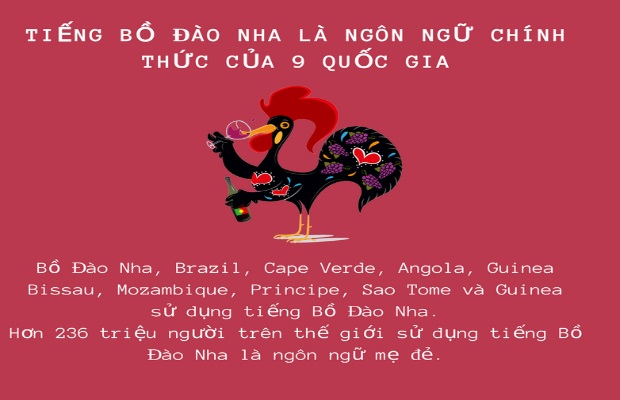 gioi thieu so luoc ve bo dao nha