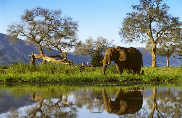 Giới thiệu sơ lược về Zimbabwe