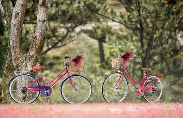Tour du lịch Đà Lạt tham gia Hội Cỏ Hồng 2021 (3N3Đ)