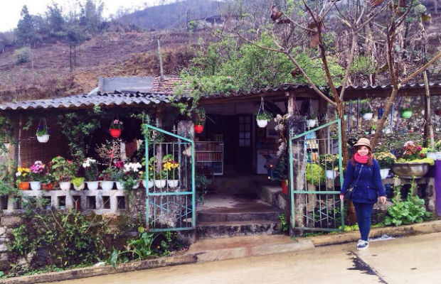 mua tour du lịch hà nội ninh binh ha long sapa hấp dẫn 