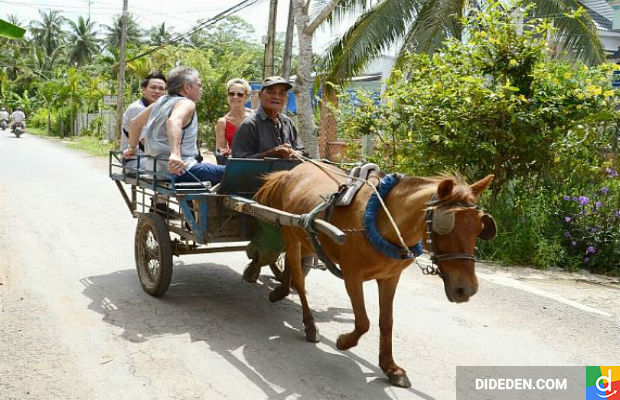 tour du lịch Mỹ Tho Bến Tre Cần Thơ Châu Đốc giá rẻ