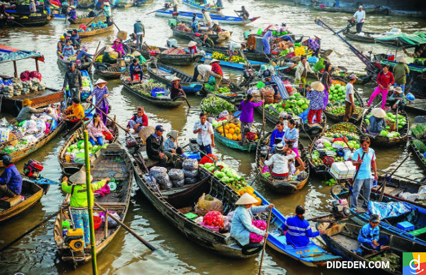 tour du lịch Mỹ Tho Bến Tre Cần Thơ Châu Đốc giá tốt nhất