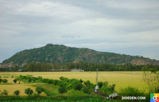 Đặt tour du lịch Mỹ Tho Bến Tre Cần Thơ Châu Đốc