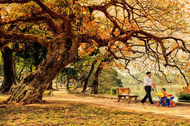 vé máy bay giá rẻ đi hà nội